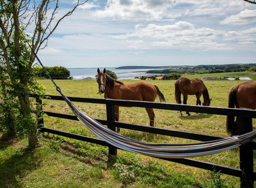 Bun Abhainn, Crooke, Passage East, X91XR92