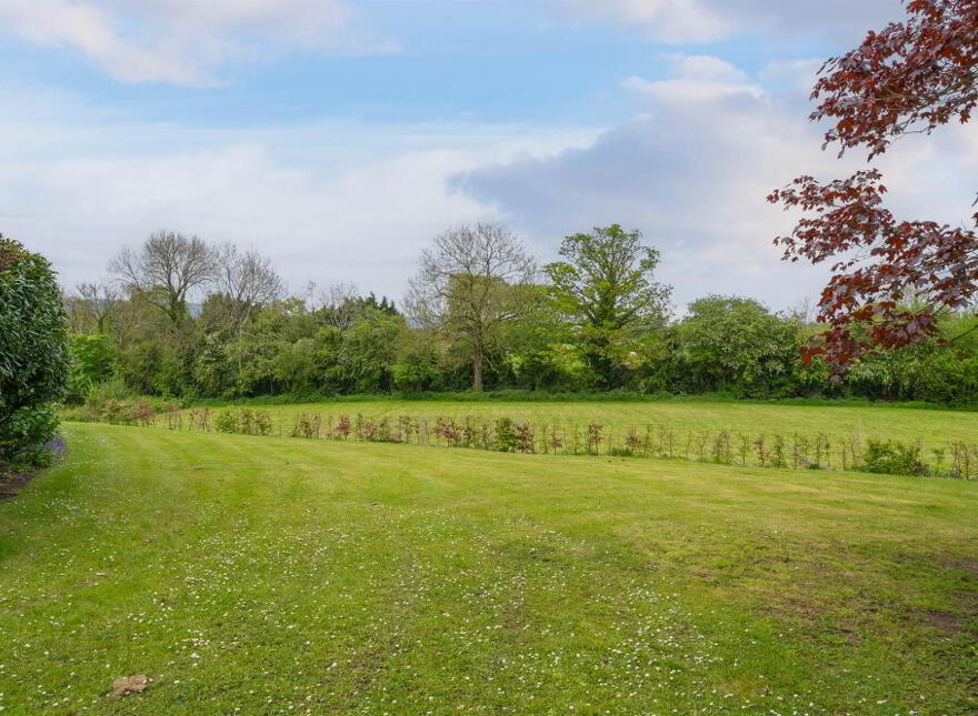 53 Drumbo Road, Lisburn, BT27 5TX