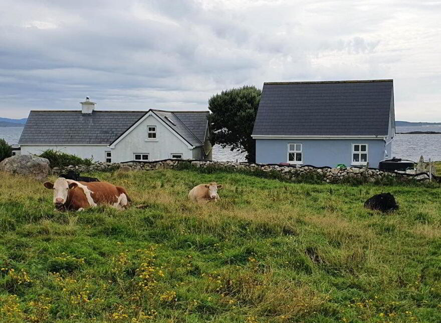 Turbot Island, Connemara, Clifden, H71XD83