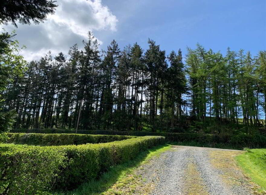 Approximately 4.7 Acres Of Agricultural Land, Oppo, 85 Ballycreen...Ballynahinch, BT24 8UF photo