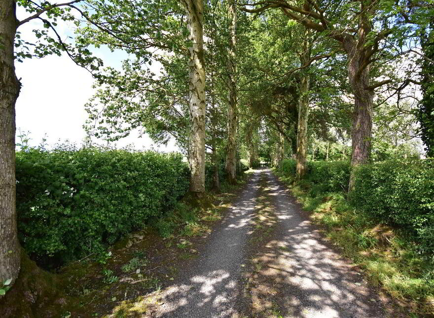 Land To Rear Of, 150 Barnish Road, Antrim, BT41