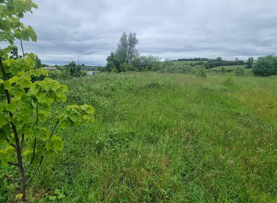 Site With F.p.p. At Carrowkeel, Castleshane, Monaghan