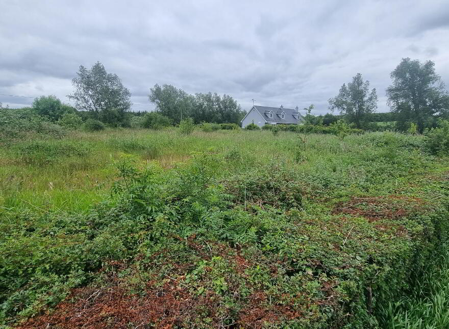 Site With F.p.p. At Carrowkeel, Castleshane, Monaghan