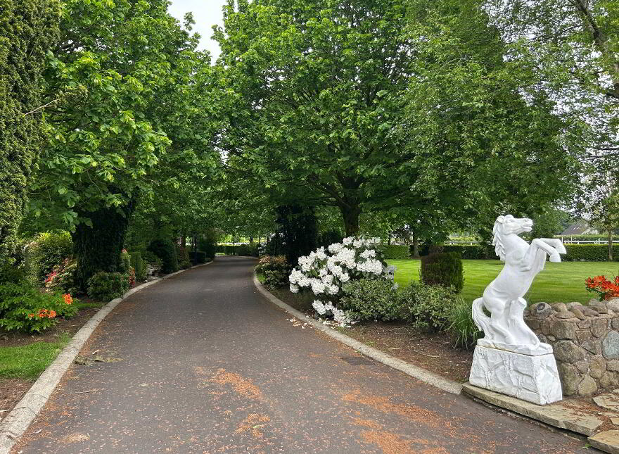 Equestrian Country Estate, 22 Luney Road, Magherafelt, BT45 5JW