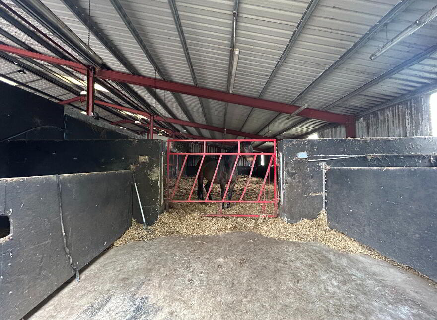 Equestrian Country Estate, 22 Luney Road, Magherafelt, BT45 5JW