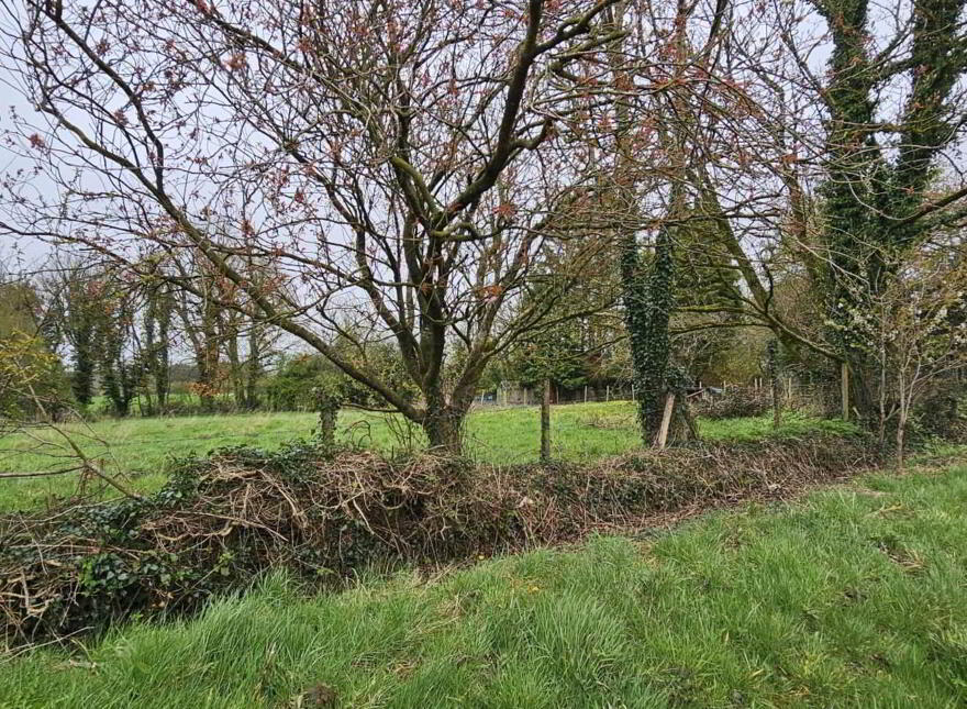 Site 10m North East Of, Lowtown Road, Templepatrick, Ballyclare, BT39 0HD