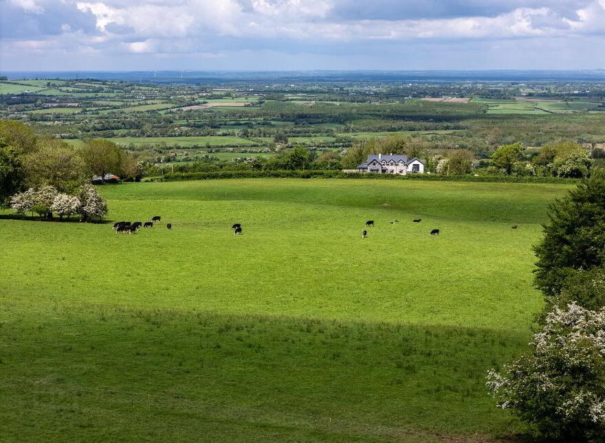 Sheskin, Cadamstown