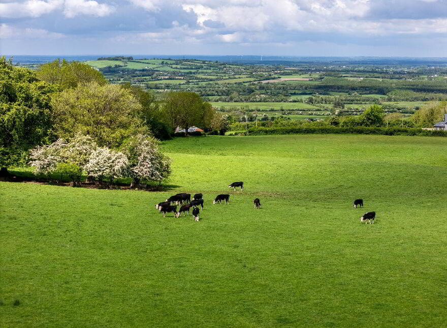 Sheskin, Cadamstown