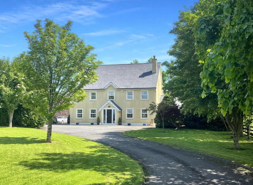 Monsea, Ballycommon, Nenagh, E45X865 photo