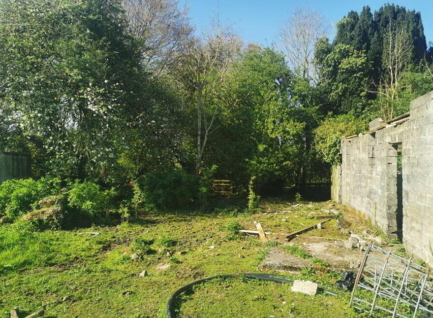 Bridge Street, Kilbeggan, Westmeath
