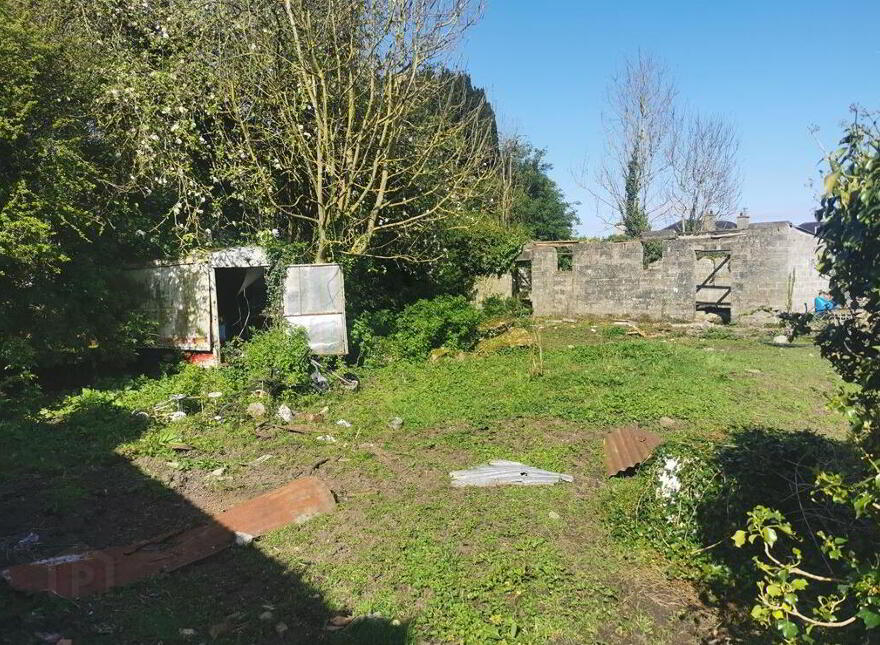 Bridge Street, Kilbeggan, Westmeath