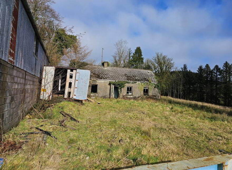 Lynch Recycling, Derry, Cavan, H12FF29
