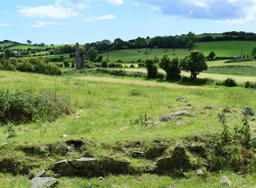 Smallholding With Medieval Castle, 60 Portaferry Road, Cloughey, BT22 1HP