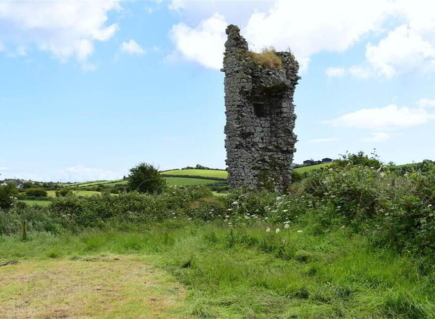 Smallholding With Medieval Castle, 60 Portaferry Road, Cloughey, BT22 1HP