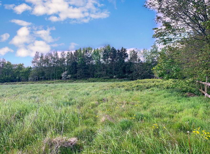 Site 2 Ballyboggan, Park, Wexford Town