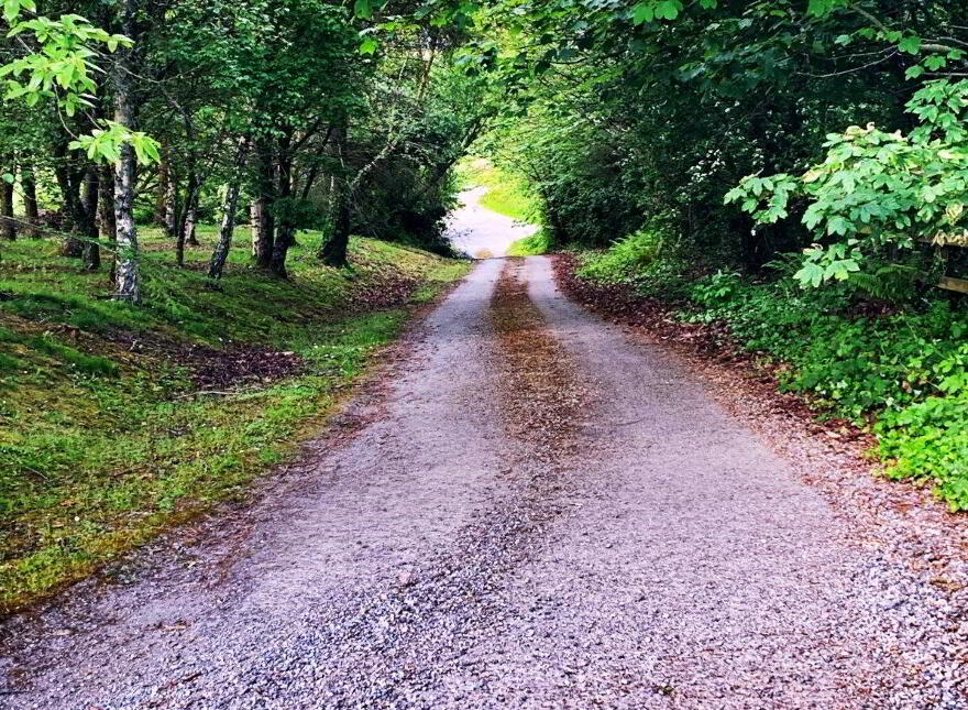 Site 2 Ballyboggan, Park, Wexford Town