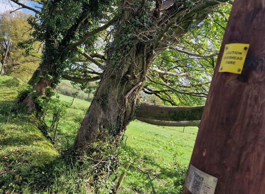 Circa, 0.6 Acre Site With Fpp, Tattykeeran Road, Tempo, Enniskillen, BT94 3FT