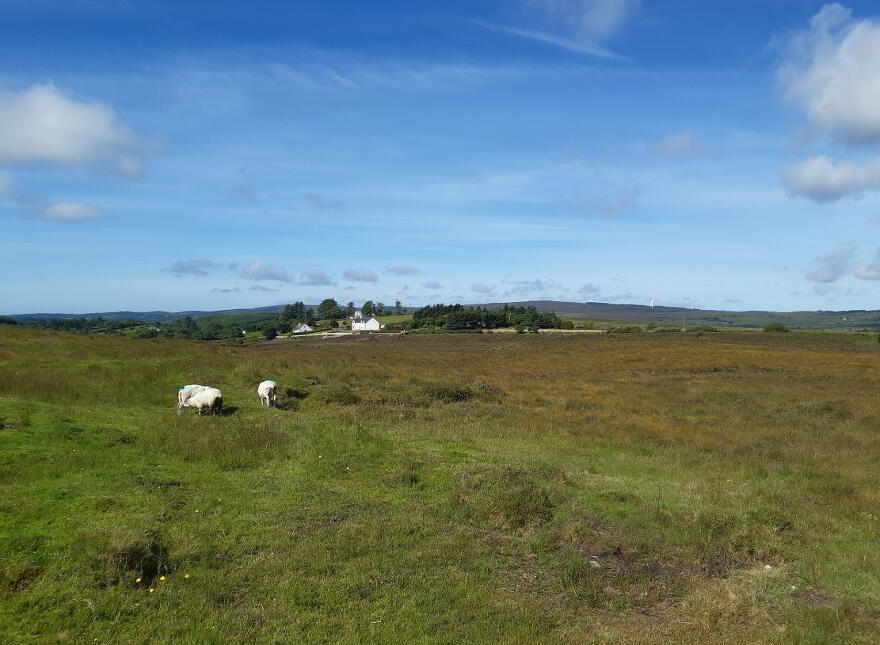 Lettertreane, Letterbarrow