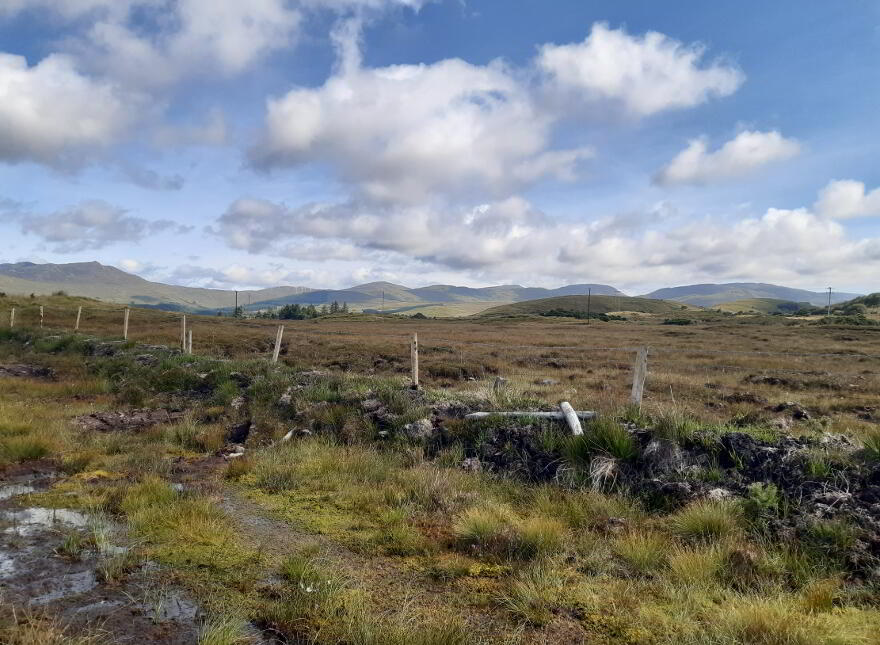Lettertreane, Letterbarrow