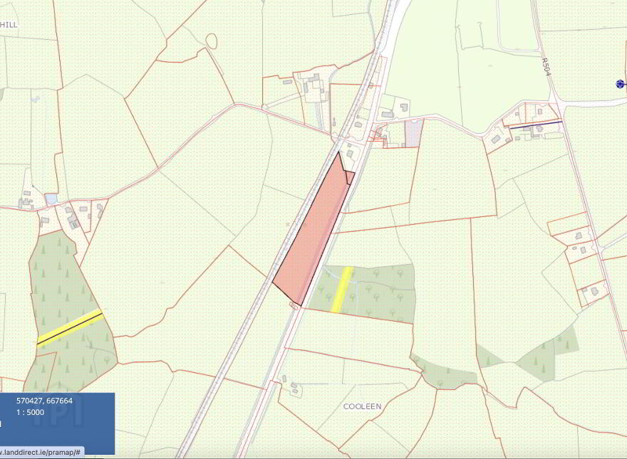 Chapel Hill, Birdhill