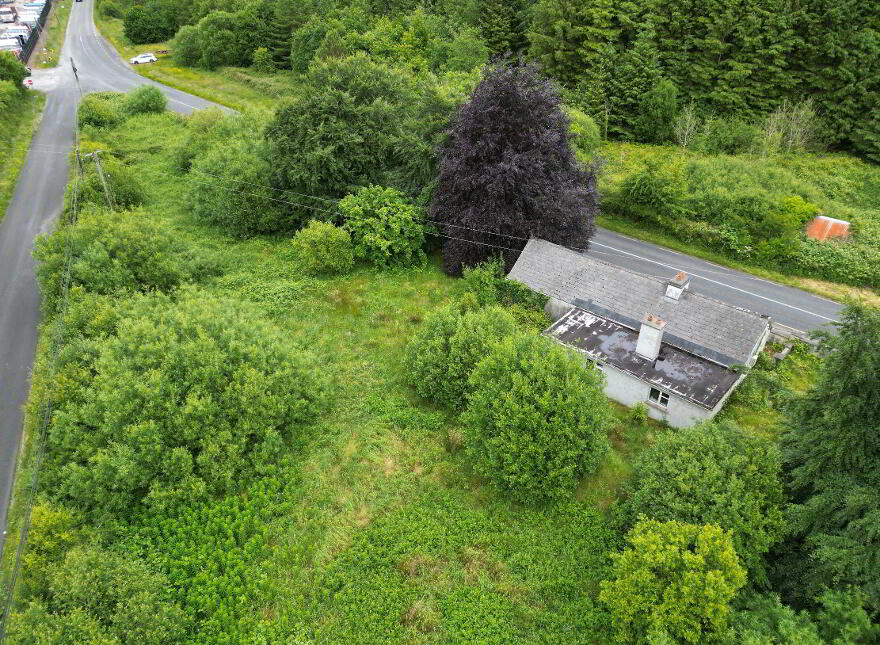 Mullen, Frenchpark, Castlerea, F45Y098