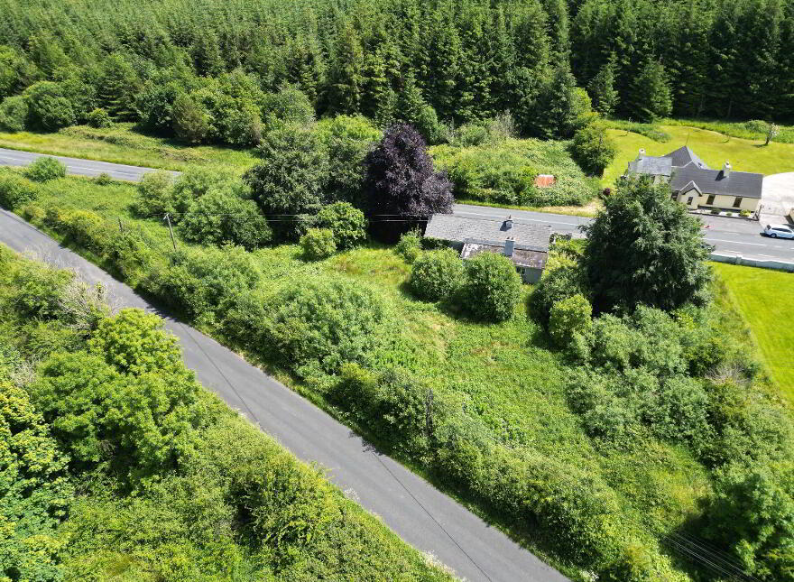 Mullen, Frenchpark, Castlerea, F45Y098