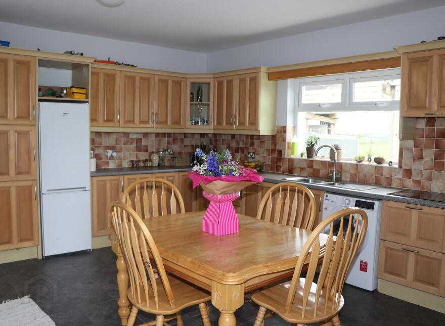 Ballinamona, Menlough, Ballinasloe