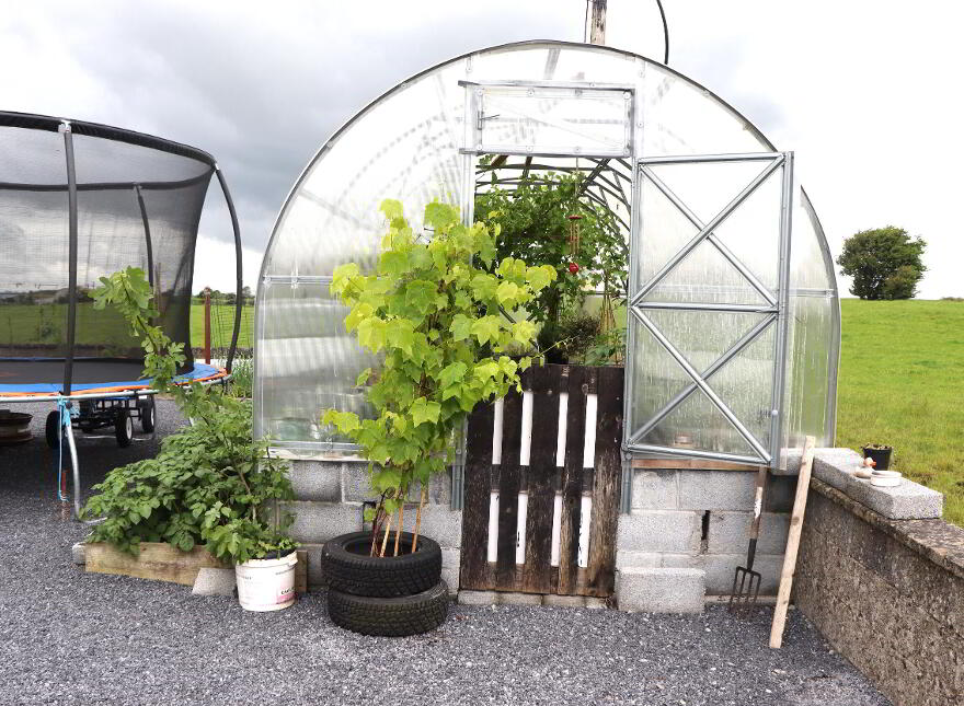 Ballinamona, Menlough, Ballinasloe