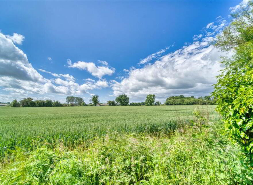 A FOR SALE AS WHOLE OR IN LOTS, 105 Halftown Road, Lisburn, BT27 5RF