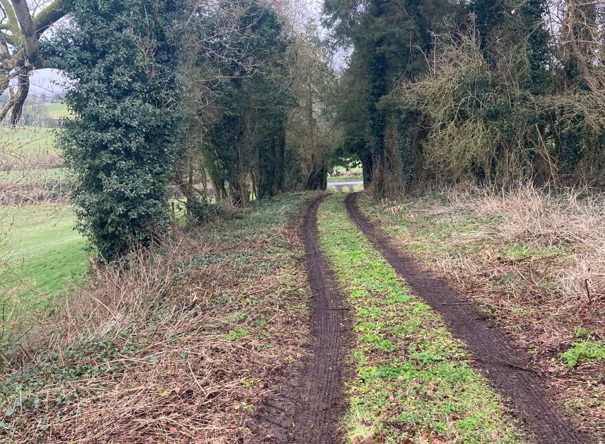 Snowhill Road, Boshinny, Lisbellaw