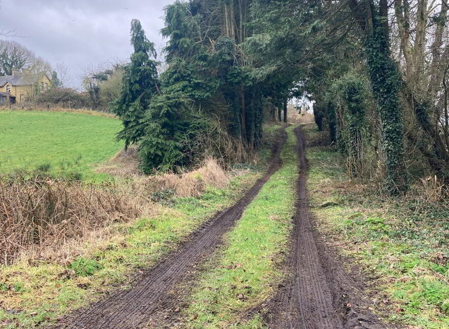 Snowhill Road, Boshinny, Lisbellaw
