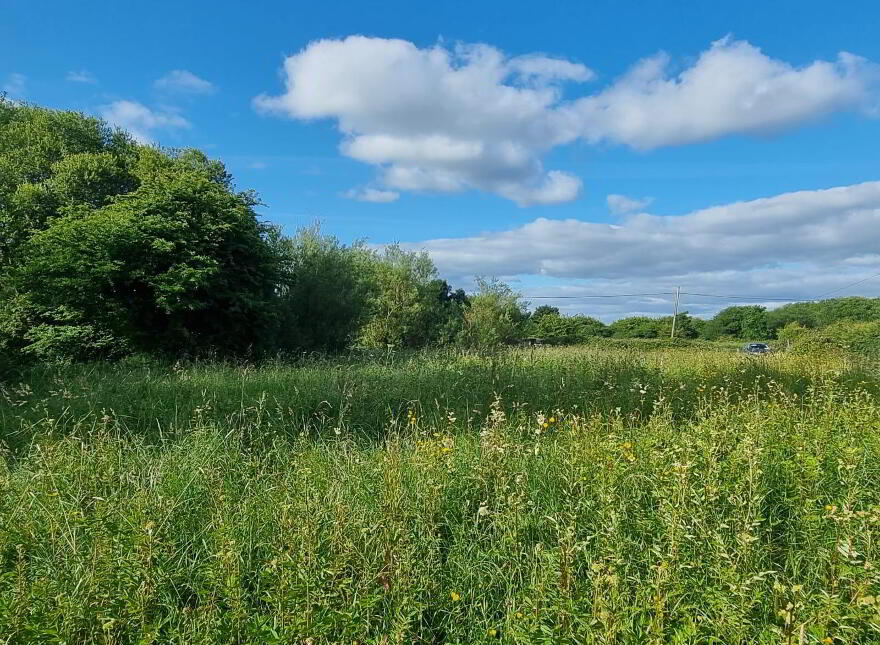 Cloonyscrehane, Newcastle West, V42X052
