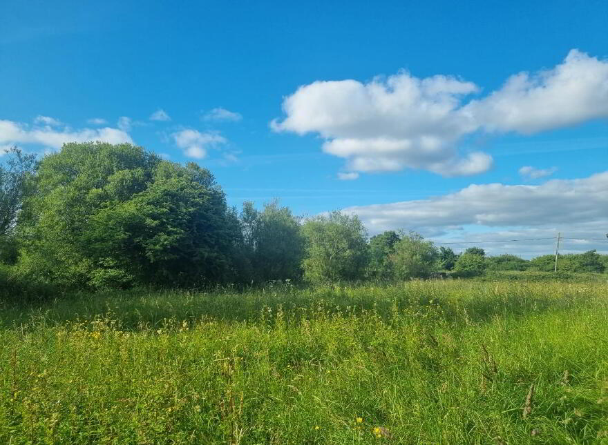 Cloonyscrehane, Newcastle West, V42X052