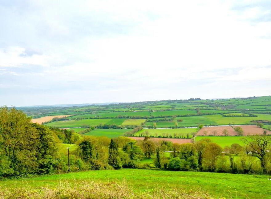 Beech Tree Cottage, Raspberry Hill, Inchinleama, Ballyduff Upper, P51H7Y4