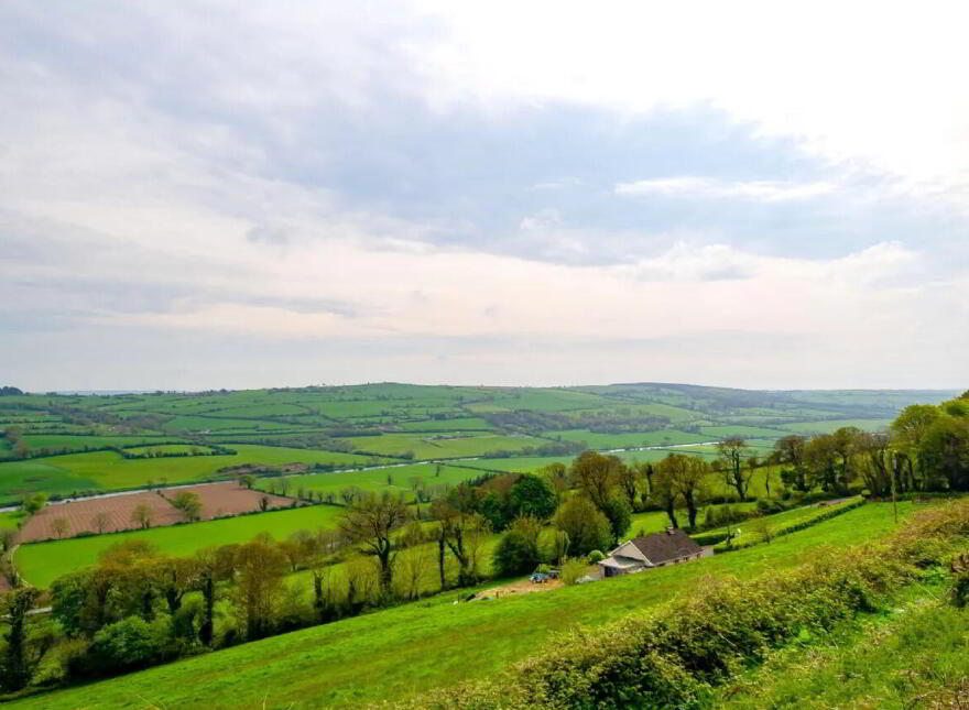 Beech Tree Cottage, Raspberry Hill, Inchinleama, Ballyduff Upper, P51H7Y4