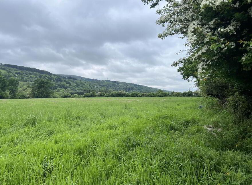 Lands, At Croan Upper, Clonmel