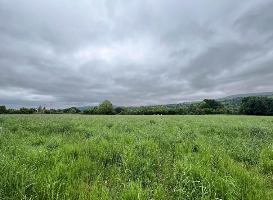 Lands, At Croan Upper, Clonmel