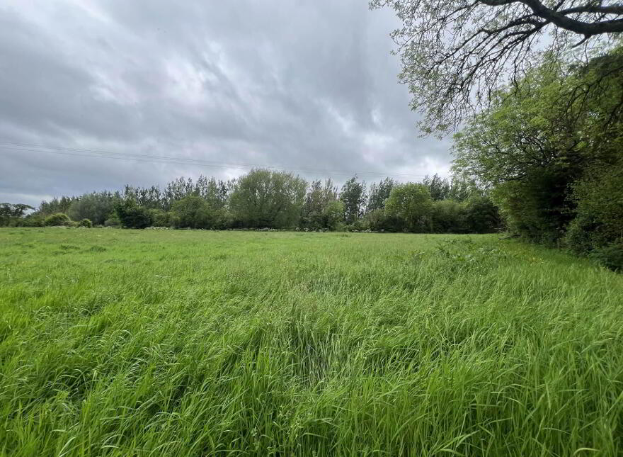 Lands, At Croan Lower, Clonmel