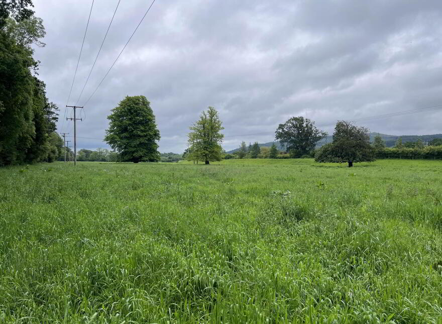 Lands, At Kilgainey, Clonmel