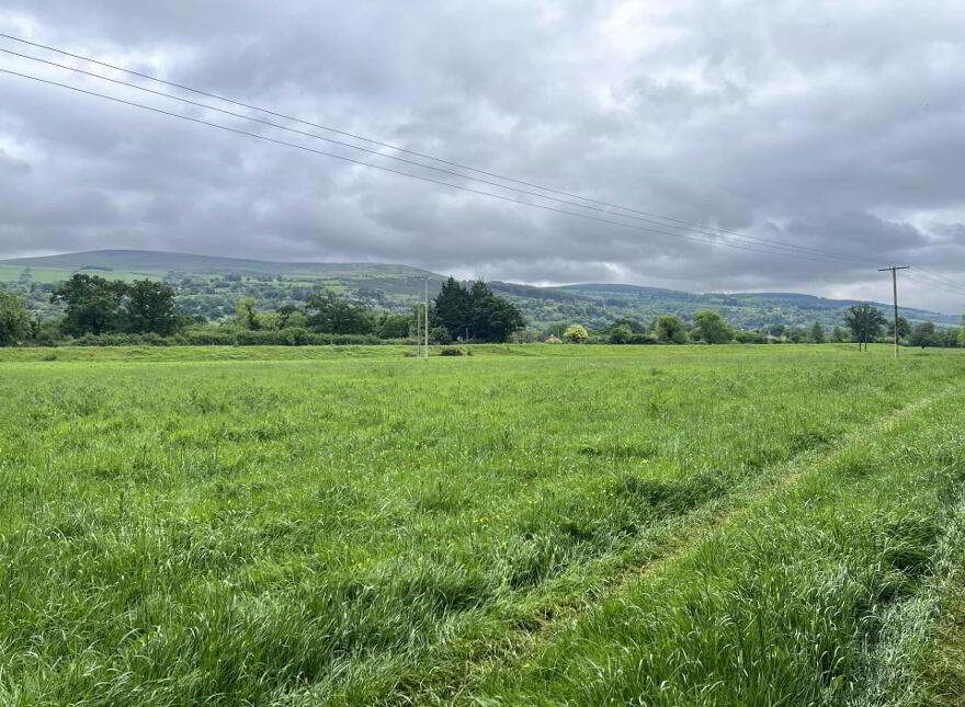 Lands, At Kilgainey, Clonmel