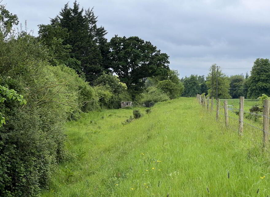 Lands, At Kilgainey, Clonmel