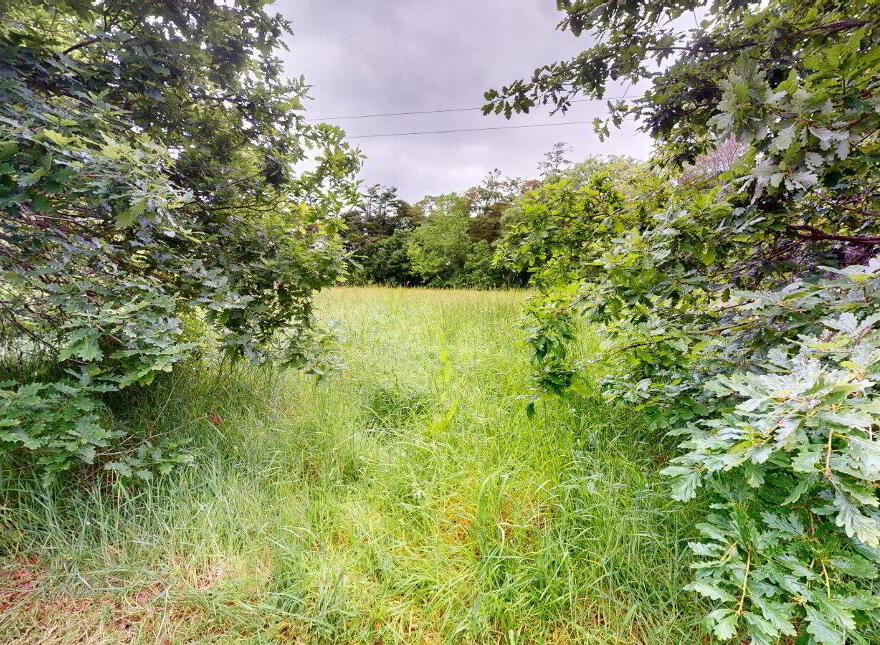 Drinagh Lodge, Drinagh, Wexford Town, Y35X934