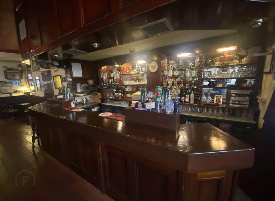 Murphys Licensed Premises, Parnell Street