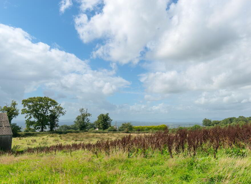 17m North Of 21 Tully Road, Portglenone, Ballymena, BT44 8DG