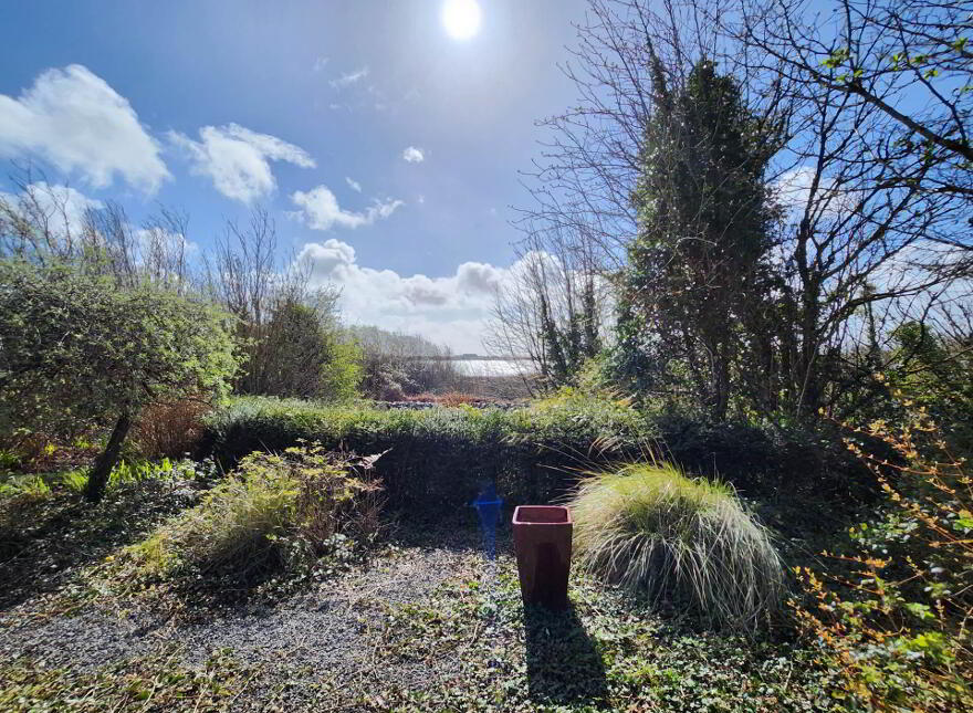 Luimnagh, West, Corrandulla, H91KXE6
