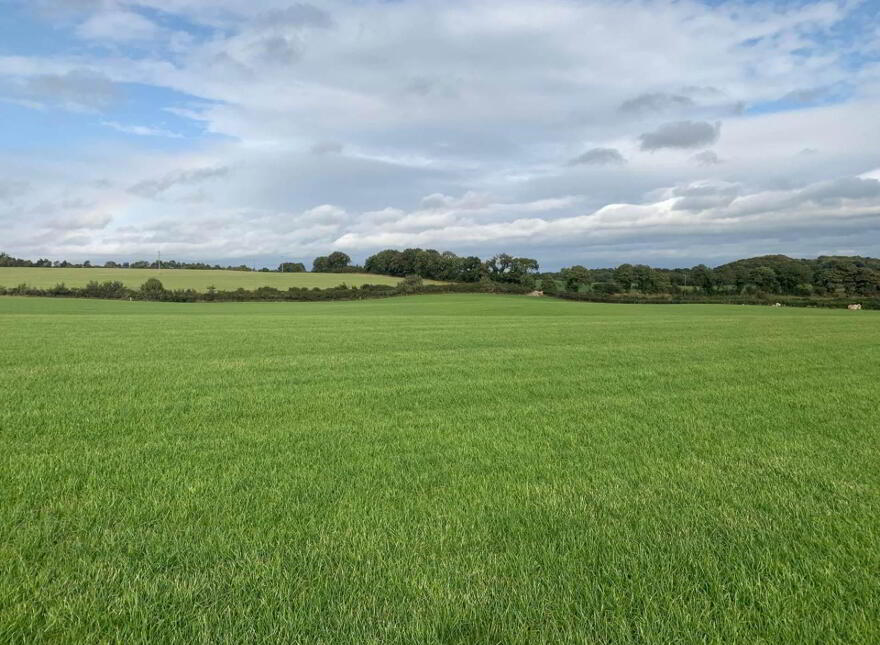 13 Acres, Of New Grass For 1st Cut Silage, Urra, Ballycommon, Nenagh, E45X991 photo