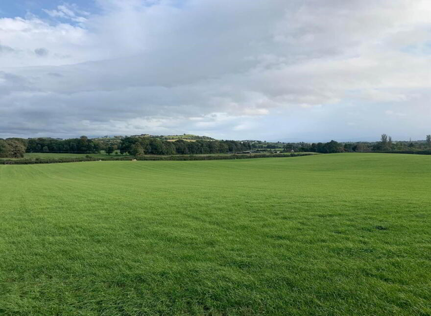 13 Acres, Of New Grass For Autumn Grazing, Urra, Ballycommon, Nenagh, E45X991