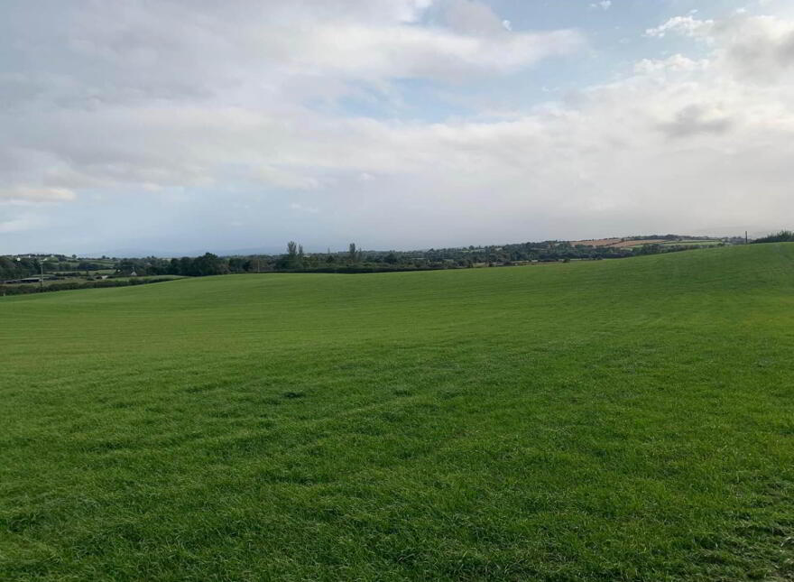 13 Acres, Of New Grass For Autumn Grazing, Urra, Ballycommon, Nenagh, E45X991