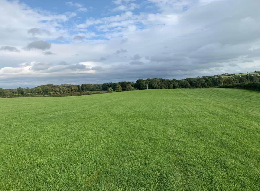 13 Acres, Of New Grass For Autumn Grazing, Urra, Ballycommon, Nenagh, E45X991