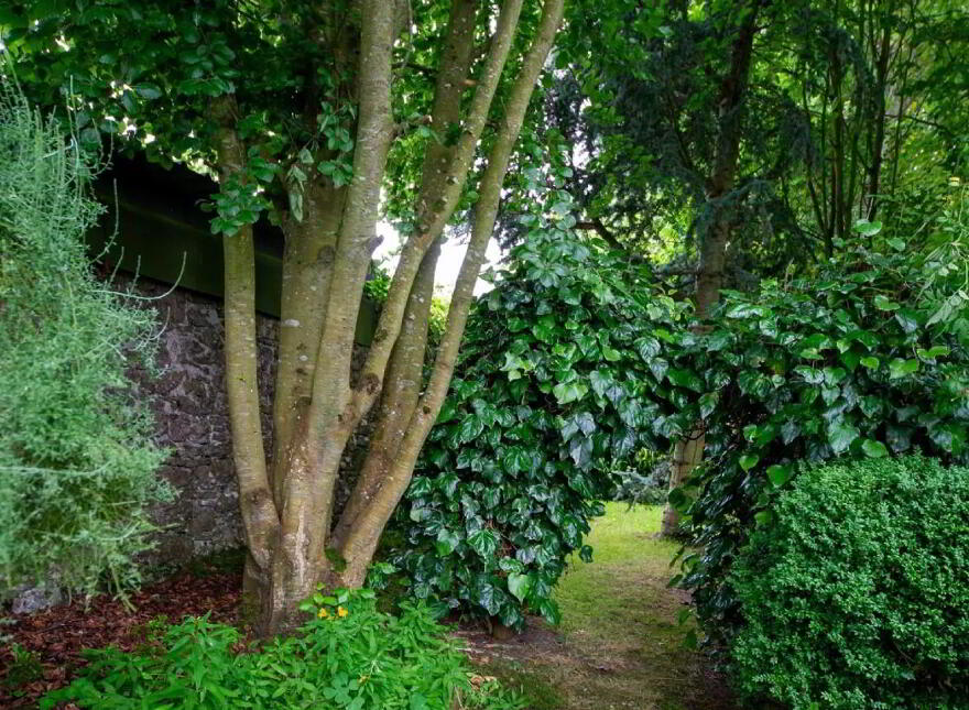Bank House, Main Street, Doneraile, P51VYY9